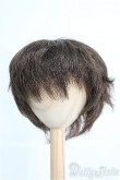 画像1: 9〜10inch/ウィッグ I-25-03-09-2021-TO-ZI (1)