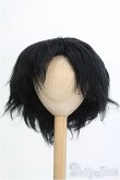 画像1: ボアウィッグ/9〜10inch I-25-03-16-2019-TO-ZI (1)