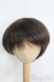 画像1: 8〜9inch/ウィッグ I-25-04-20-2025-TO-ZI (1)