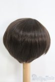 画像3: 8〜9inch/ウィッグ I-25-04-20-2025-TO-ZI (3)