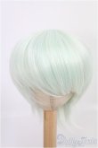 画像1: 8〜9inch/ウィッグ I-25-03-02-3025-TO-ZI (1)