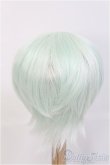 画像2: 8〜9inch/ウィッグ I-25-03-02-3025-TO-ZI (2)