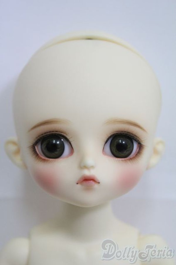 画像1: SLINKY NEKO/Little Bucci Basic I-25-04-13-1009-YB-ZI (1)