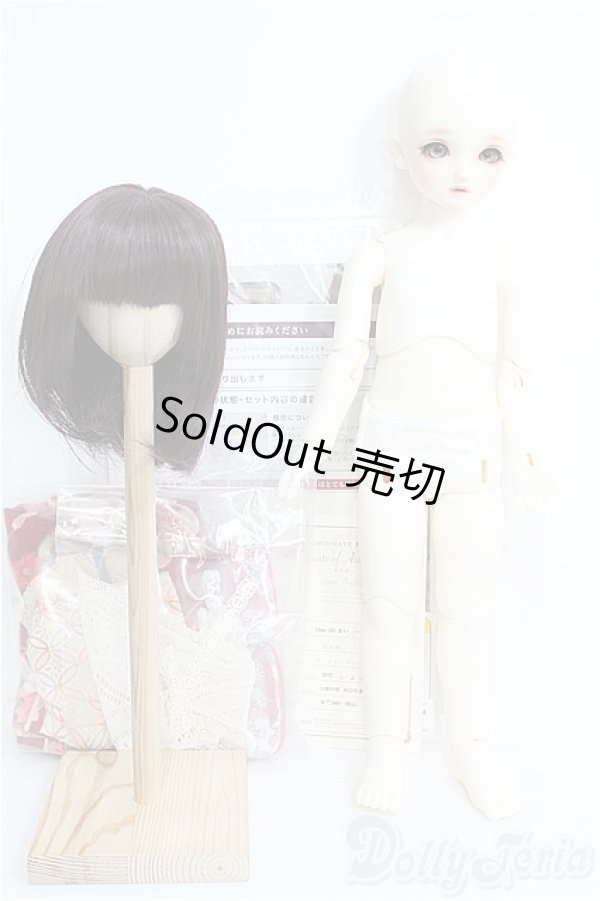 画像5: Dear SD/まい（いちまさん仕様/天使の里おひなまつり2022） I-25-02-02-1002-TO-ZI (5)