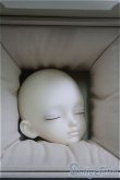 画像3: 【SALE】Fatemoons/思?ヘッド I-24-08-11-1054-TO-ZI (3)