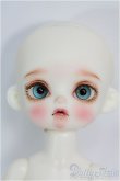 画像1: 【SALE】Petit Soiree/Muffinヘッド+Rosenlied Monday's Childボディ I-24-08-04-1005-TO-ZI (1)