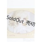 画像: 【SALE】MYOUDOLL/Lorina I-24-08-04-1007-TO-ZI