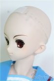 画像5: 【SALE】DD/涼宮ハルヒ I-24-08-18-1003-TO-ZI (5)