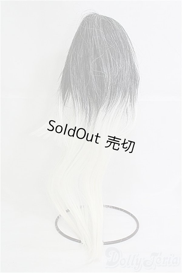 画像2: 8〜9inch/ウィッグ I-25-04-06-3022-TO-ZI (2)