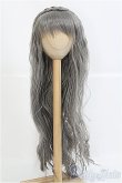 画像1: 9〜10inch/ウィッグ I-25-03-23-3030-TO-ZI (1)