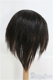 画像2: 9〜10inch/ウィッグ I-25-03-30-2027-TO-ZI (2)