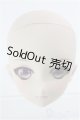 画像: 【SALE】DD/放課後秋葉原ガールズ ルリヘッド I-24-08-11-1063-TO-ZI