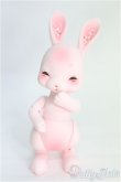 画像1: cocoriang/Tobi~SAKURA Limited~ I-25-02-09-1010-TO-ZI (1)