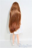 画像3: 【SALE】キャッスルジェニー/あやの本体+衣装ロングブラウン系 ロングウェーブ I-24-12-01-1075-YB-ZI (3)