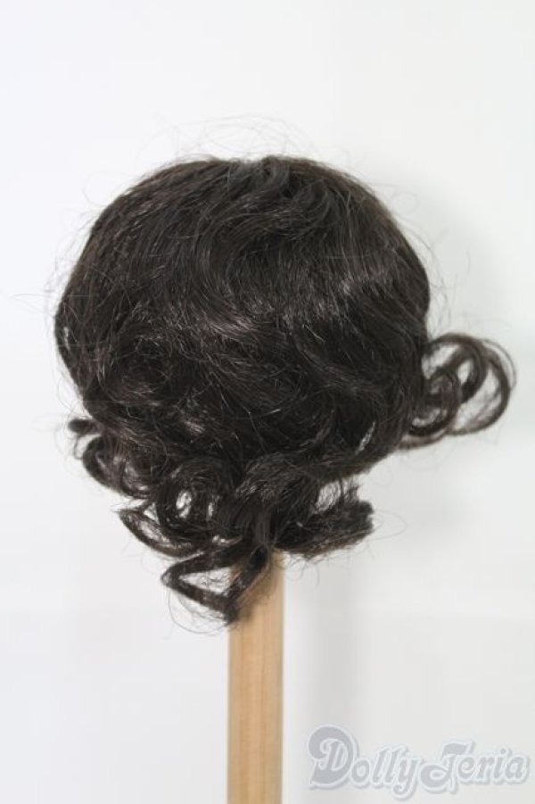 画像2: 8〜9inch/ウィッグ/ I-25-07-13-3021-TO-ZI (2)