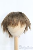 画像1: 8〜9inch/ウィッグ I-25-04-20-3026-TO-ZI (1)