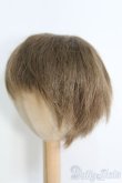 画像2: 8〜9inch/ウィッグ I-25-04-20-3026-TO-ZI (2)