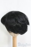 画像2: 8〜9inch/ウィッグ I-25-04-20-3025-TO-ZI (2)
