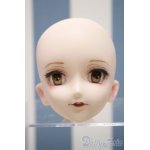 画像: 【新宿マルイアネックス店 店頭販売商品】DD/DDH-07カスタムヘッド　2100110000017817-ZM