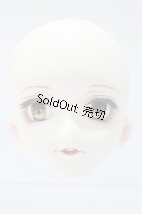 画像1: DD/DDH-07カスタムヘッド S-25-12-14-004-TO-ZS (1)