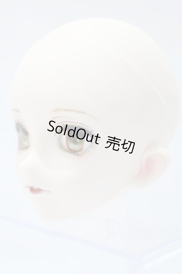 画像2: DD/DDH-07カスタムヘッド S-25-12-14-004-TO-ZS (2)