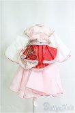 画像2: 幼SD/OF ドレスセット I-25-04-13-3072-TO-ZI (2)