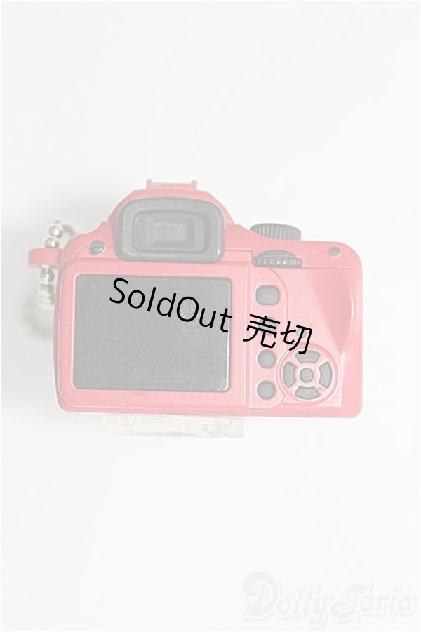 画像2: 1/3、1/4ドール/カメラ I-25-03-09-3149-TO-ZI (2)