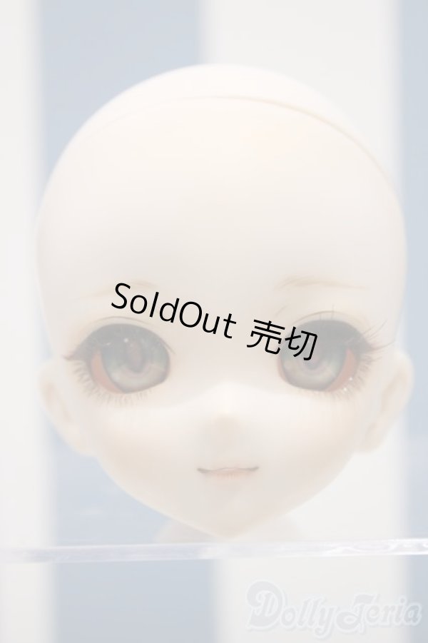 画像1: 【新宿マルイアネックス店 店頭販売商品】DD/DDH-10 (カスタマー様)カスタムヘッド　2100110000018005-ZM (1)