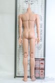 画像2: IMOMODOLL/75cm男性ボディ I-25-05-04-1007-TO-ZI (2)