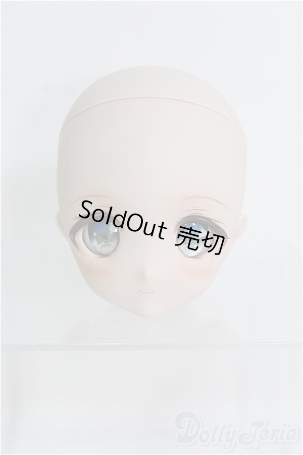 画像1: 【SALE】DD/DWC＃01カスタムヘッド(PicoRabi様製) I-24-09-15-1074-TO-ZI (1)