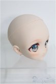 画像3: 【SALE】DD/DWC＃01カスタムヘッド(PicoRabi様製) I-24-09-15-1074-TO-ZI (3)