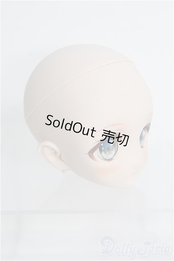 画像3: 【SALE】DD/DWC＃01カスタムヘッド(PicoRabi様製) I-24-09-15-1074-TO-ZI (3)
