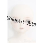 画像: MSDGIRL/コーディネートモデル：F-52 I-24-09-01-1081-TO-ZI