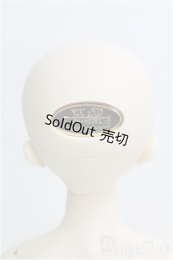 画像4: MSDGIRL/コーディネートモデル：F-52 I-24-09-01-1081-TO-ZI (4)