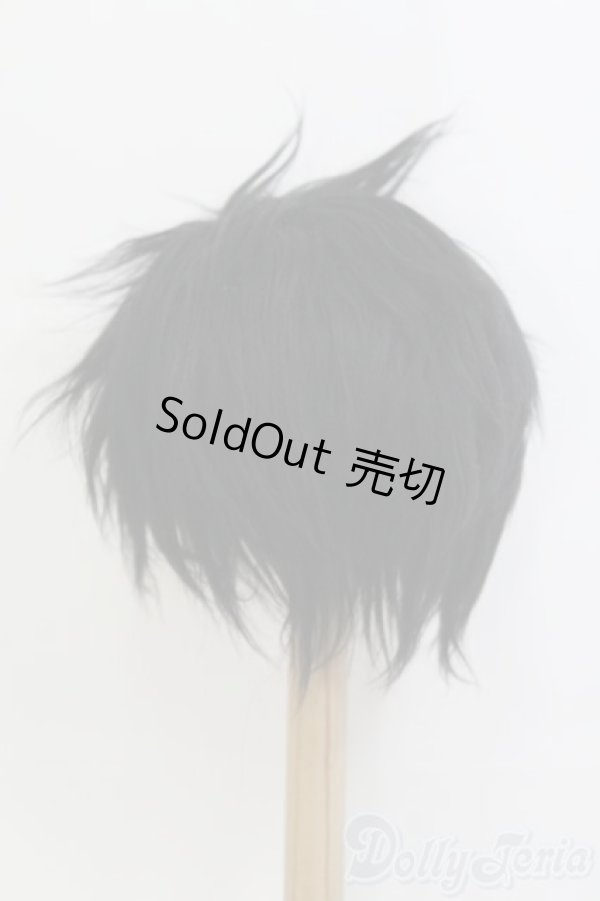 画像3: 8〜9inch/ボアウィッグ/ I-25-07-13-2028-TO-ZI (3)