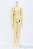 画像1: 【SALE】SD13GIRL/ボディ I-24-09-01-1079-TO-ZI (1)