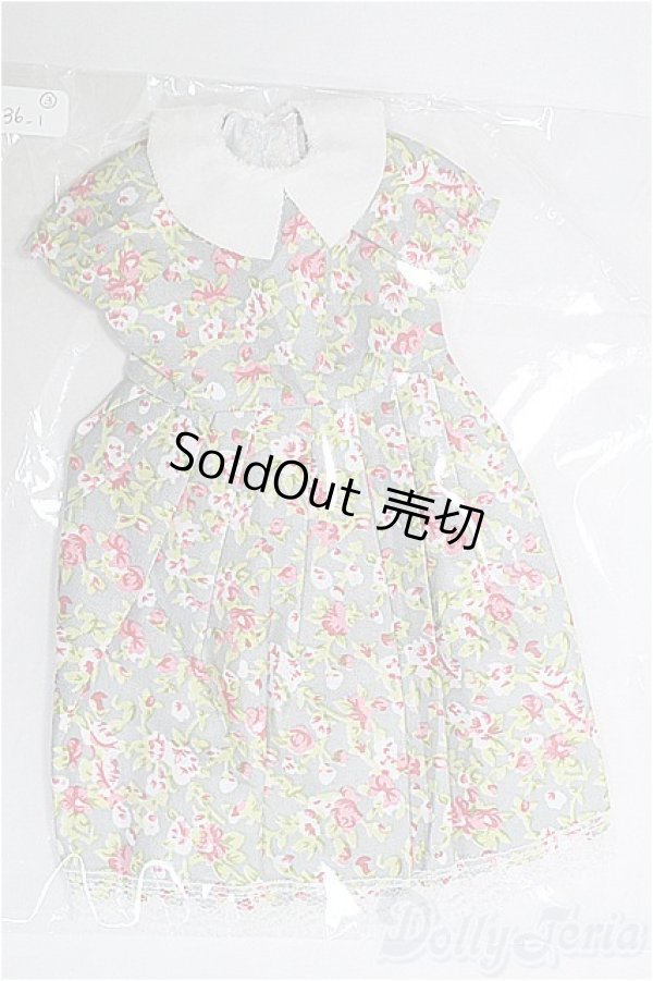 画像1: ジェニー/OF:衣装 I-25-04-06-3082-YB-ZI (1)