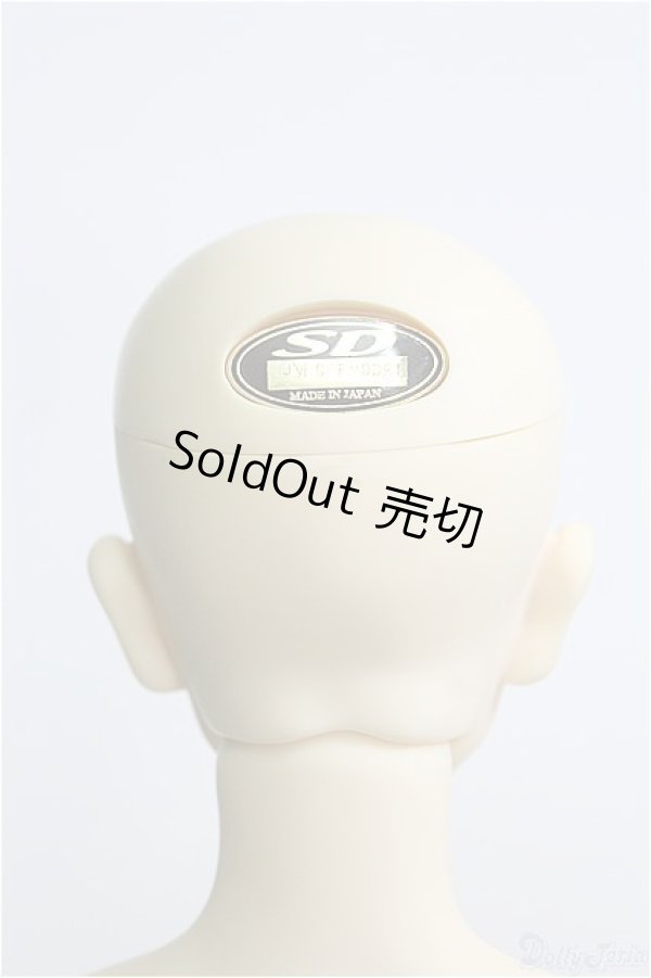 画像4: SD13BOY/近衛司ワンオフモデル I-24-09-08-1001-TO-ZI (4)