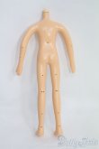 画像2: 1/6ドール?/ワイヤー入シームレスボディ(バンダイ) I-25-05-04-1052-YB-ZI (2)