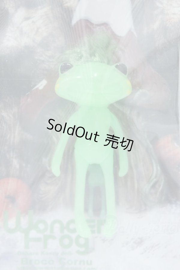 画像1: フォーチュンワンダフレンド/ブロコ・コルヌ S-25-11-09-007-TO-ZS (1)