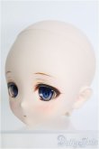 画像2: 【SALE】DD/DWC#01カスタムヘッド I-24-09-29-1069-TO-ZI (2)