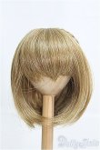 画像1: 8〜9inch/ウィッグ I-25-03-30-2023-TO-ZI (1)