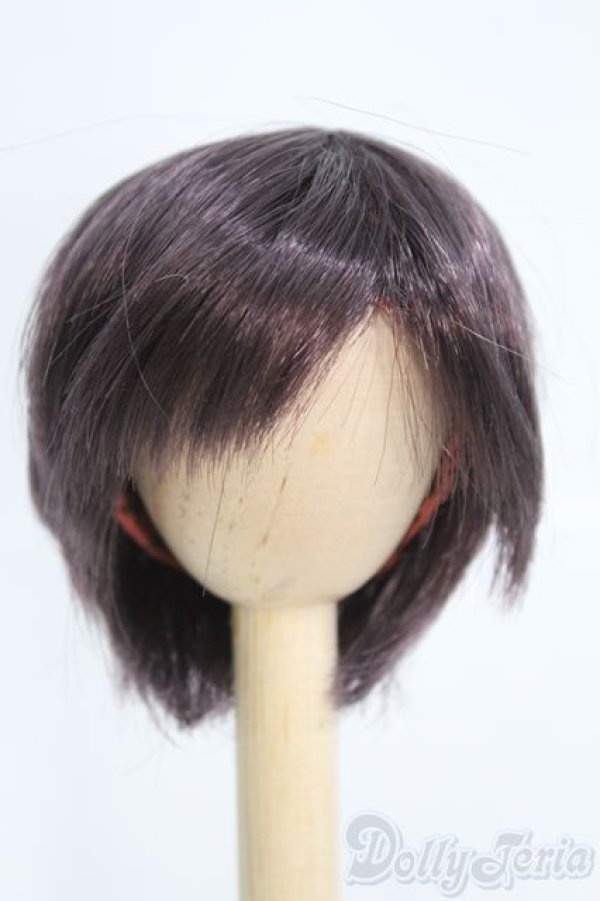 画像1: 7-8inch/ウィッグ I-25-05-11-2014-TO-ZI (1)