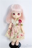 画像1: 【SALE】DOLLCE/ミニスウィーツドール:ミント本体+ウィッグ+衣装+シューズ+ケース I-24-09-29-1085-YB-ZI (1)