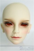 画像1: 【SALE】SWITCH/SOHWA　ヘッド I-24-09-29-1073-YB-ZI (1)