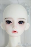 画像1: 【SALE】XAGADOLL/STORM I-24-09-29-1006-TO-ZI (1)