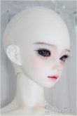 画像3: 【SALE】XAGADOLL/STORM I-24-09-29-1006-TO-ZI (3)