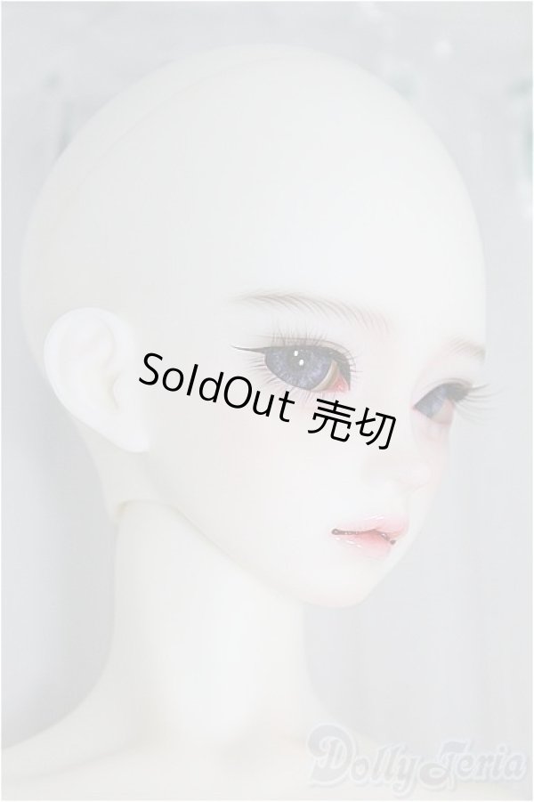 SALE】XAGADOLL/STORM I-24-09-29-1006-TO-ZI - ドーリーテリア SALE】XAGADOLL/STORM I-24-09-29-1006-TO-ZI - ドーリーテリア