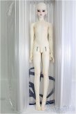 画像5: 【SALE】XAGADOLL/STORM I-24-09-29-1006-TO-ZI (5)