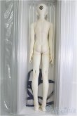 画像6: 【SALE】XAGADOLL/STORM I-24-09-29-1006-TO-ZI (6)